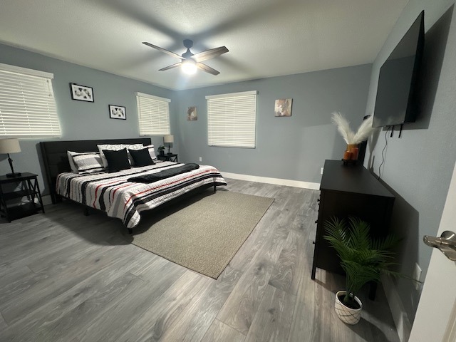 3 or 4 Night Stay for a Short Term Rental Minutes from Nokomis Beach - Image 9